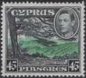 Aron R. Halberstam Philatelists Ltd.; British Commonwealth Stamps: CYPRUS - KGVI; Scott: 154; SG: 162; Condition: VF NH