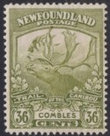 Aron R. Halberstam Philatelists Ltd.; British Commonwealth Stamps: NEWFOUNDLAND - KGV; Scott: 126; SG: 141; Condition: F-VF LH