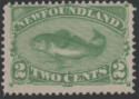 Aron R. Halberstam Philatelists Ltd.; British Commonwealth Stamps: NEWFOUNDLAND - QV; Scott: 46; SG: 46; Condition: F-VF NH