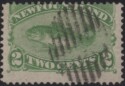Aron R. Halberstam Philatelists Ltd.; British Commonwealth Stamps: NEWFOUNDLAND - ; Scott: 47; SG: 64; Condition: F U