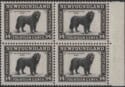 Aron R. Halberstam Philatelists Ltd.; British Commonwealth Stamps: NEWFOUNDLAND - ; Scott: 261; SG: 284; Condition: VF NH