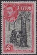 Aron R. Halberstam Philatelists Ltd.; British Commonwealth Stamps: CEYLON - KGVI; Scott: 278a; SG: 386a; Condition: VF LH